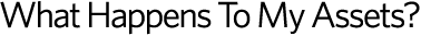 What Happens To MyAssets?